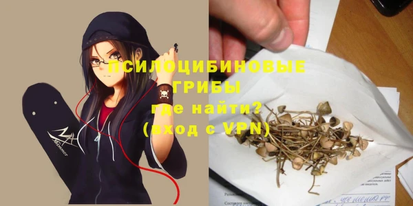 мдпв Балахна