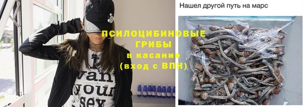 крисы Новозыбков