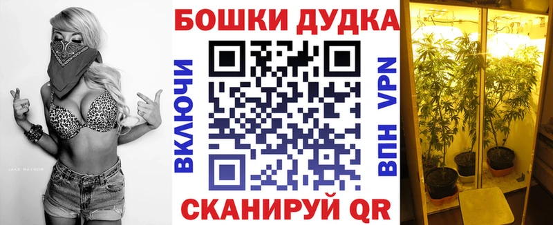 OMG онион  Оленегорск  Шишки марихуана AK-47 